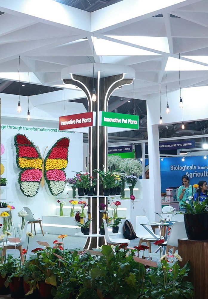 State & Country Pavilions