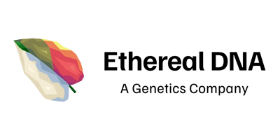 Director, EtherealDNA Pvt. Ltd. logo